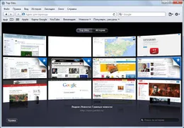 Safari — скриншот 4